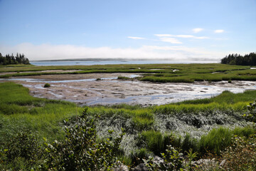 Fototapeta premium Coast of Nova Scotia , Canada