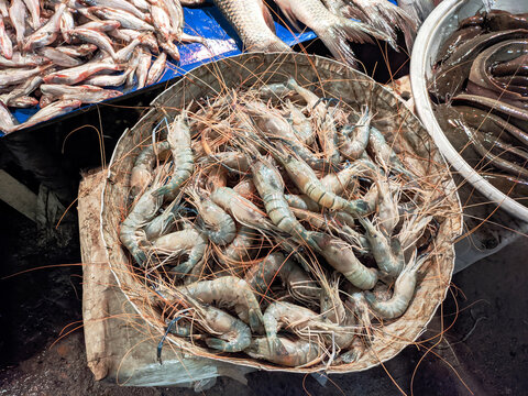 Close up pile of raw fresh shrimp