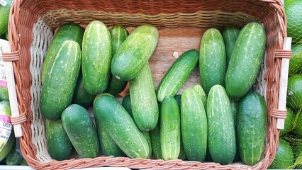 Pile of cucumbers or Cucumis sativus in the basket