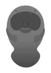 Manatee
