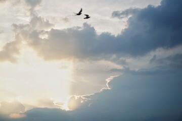 beautiful sunset with blue sky