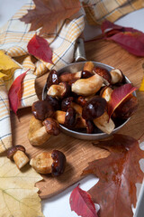 Several Imleria Badia or Boletus badius mushrooms commonly known as the bay bolete and vintage pan with mushrooms on wooden cutting board..