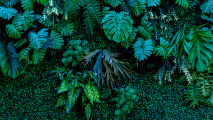 Herb wall, plant wall, natural green wallpaper and background. nature wall.
