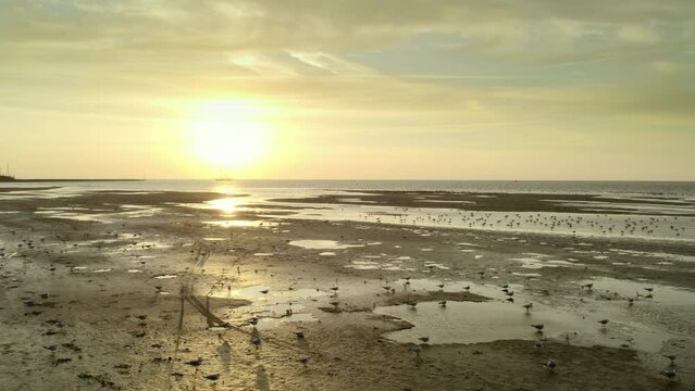 Netherlands, West-Terschelling, Aerial view of Wadden Sea at sunset