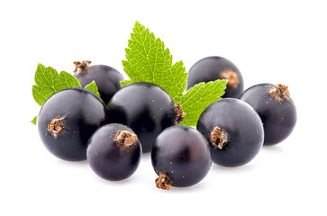 Black currant berries on White Background isolated.