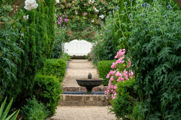 looking down a pathway through summer flowers to a fountain and a bench