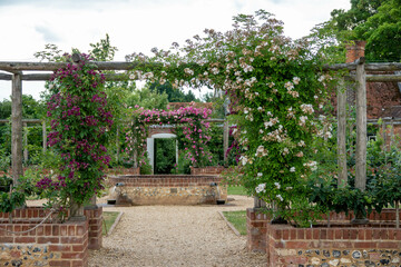 looking through an arbour with roses to a water feature