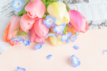 チューリップとネモフィラの春の花の背景