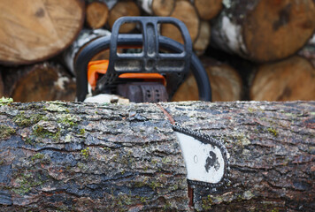 Chainsaw and firewood with blade cut into hardwood log