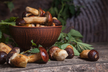 Pile of Imleria Badia or Boletus badius mushrooms commonly known as the bay bolete on vintage wooden background..