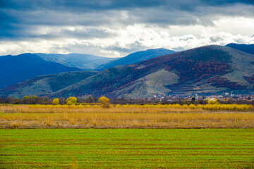 Obraz premium Amazing view of Magnificent autumn carpet in The Rhodope mountains