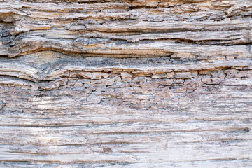 Naklejka premium Old brow wood texture background coming from natural tree. The wooden panel has a beautiful dark pattern, hardwood floor texture.