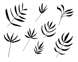hand drawn decorative leaf pattern vector design