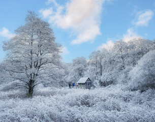 English Winter Landscape Scene