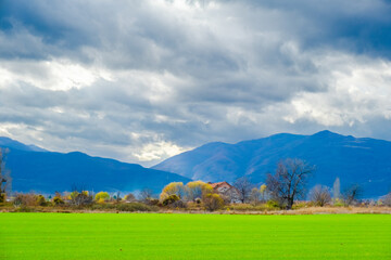Naklejka premium Amazing view of Magnificent autumn carpet in The Rhodope mountains
