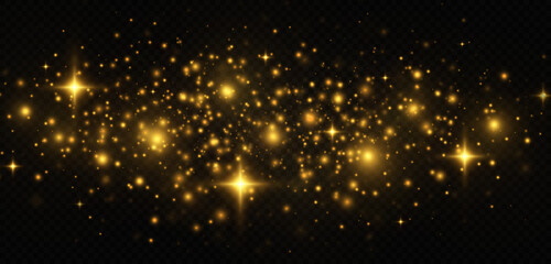 Fototapeta na wymiar Sparkling magical dust particles. The dust sparks and golden stars shine with special light on a black transparent background. Golden shiny light effect.