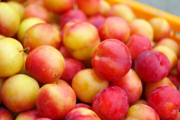 Basket full of fresh plums