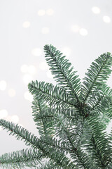 Christmas tree brunches with lights on a white background