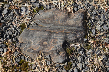 地層の縞模様が入った岩