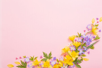 Fototapeta na wymiar spring flowers on pink papper background