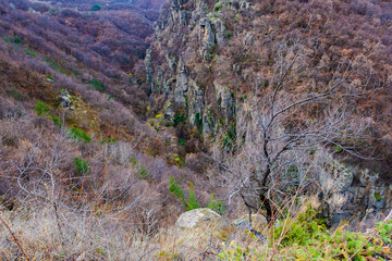 Amazing view of Magnificent autumn carpet in The Rhodope mountains