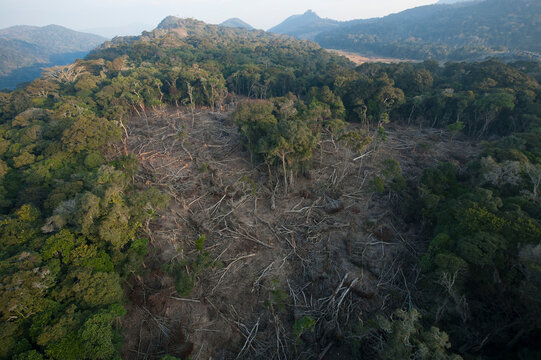 Clear-cuts and remnants of rainforest on Mount Gorongosa; Mozambique
