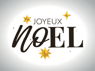 Merry Christmas in French language. Joyeux Noel modern brush vector calligraphy. Hand drawn calligraphic phrase isolated on white background. Typography for greeting card, postcards, poster, banner.