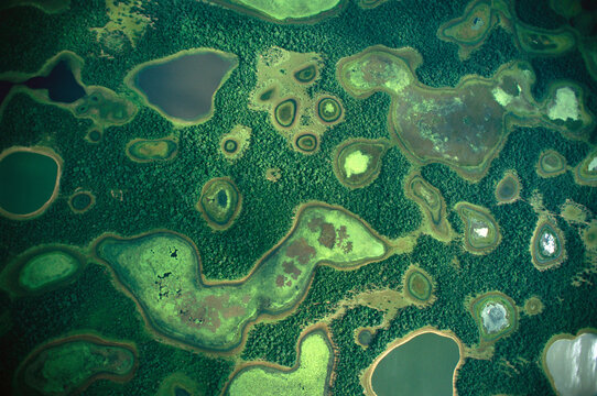 Aerial view of an array of seasonally flooded lowlands in Brazil's Pantanal; Brazil