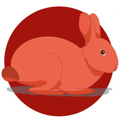 rabbit year