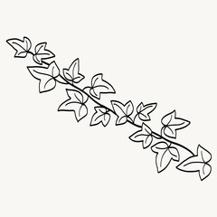 Floral ivy drawing decorative ornament flat design.