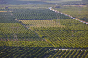 Green agricultural area in Turkey. Turkish food industry. Agronomy resources