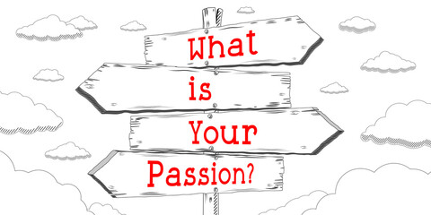 What is your passion - outline signpost with four arrows