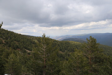 Obraz premium Paisaje nevado 