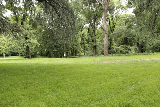 Parque 