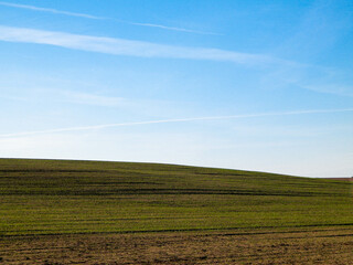 Fototapeta na wymiar Green field on a background of blue sky