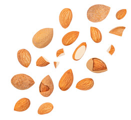 Flying Almond isolated. Almonds on white background. Almond nut set. Collection. Pattern.