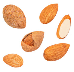 Almond isolated. Raw Almonds on white background. Almond set. Collection..