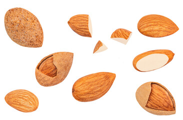 Almond raw piece Collection. Almonds isolated on white background. Set. Closeup.