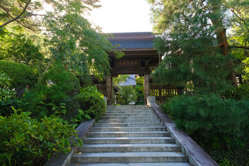 東京都日野市 高幡不動尊 山門