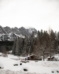 frozen forest landscape with european alps and mountains with snow in the background and typical german wooden houses.