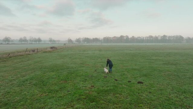 Middle-aged brunette woman doing dummy training with her labrador retriever on a field during a cold and misty day