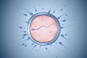 Illustration of sperm and egg cell - 554914519