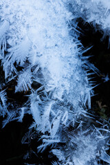 hoarfrost and snow cristalls in Eriz during winter
