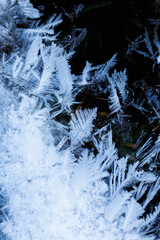 hoarfrost and snow cristalls in Eriz during winter