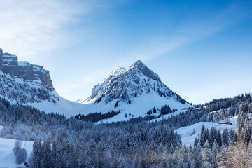 idyllic winter landscape in Eriz with Burst and Sichle