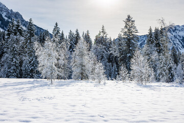 frozen winter landscape in Eriz