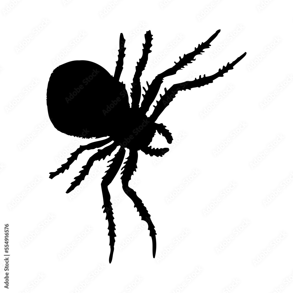 Canvas Prints Spider Silhouette