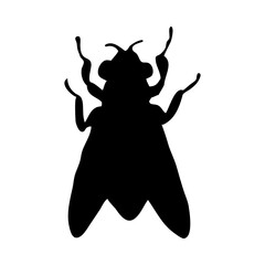 Fly Silhouette