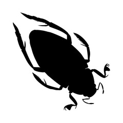 Beetle Silhouette