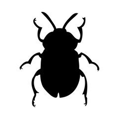 Beetle Silhouette